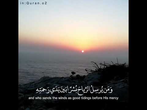 محمد كمال هاشم حالات وأتس اب دينية مقاطع أنستقرام أسلامية مقاطع دينية قصيرة قصص أيمو فيس بوك