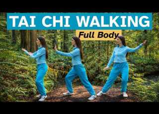 Full Body Tai Chi Walking Workout For Beginners Boost Balance Ease Pain With Brush Knee
