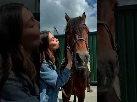 بلجين وايجيم