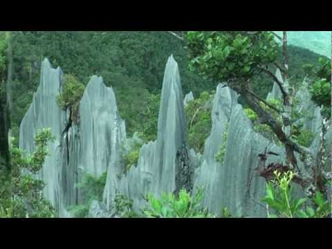 Mulu Pinnacle 3 0 Year 2012