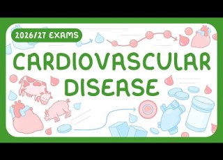  GCSE Biology Cardiovascular Disease Treatments 2026 27 Exams