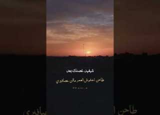 شفيد بعد