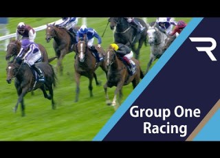 2019 Qipco British Champions Long Distance Cup Racing TV