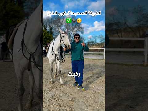 كيف تركب على الخيل بشكل صحيح