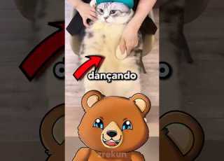  Origem Do Gato Dançando Hey Hey You You Meme Viral Gato Avrillavigne Catdancing