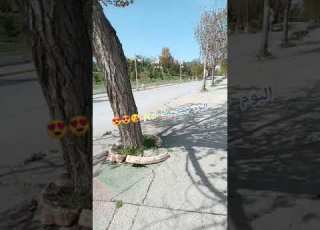 نزهة في جامعة فرحات عباس لولاية سطيف