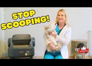  The OneIsAll Self Cleaning Litter Box Review Cat Health Dr Lindsay Butzer