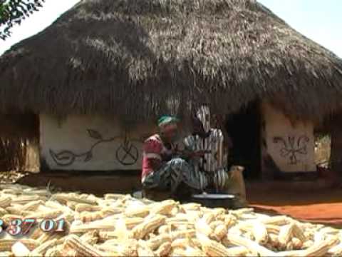 ABOUBAKAR BABADJO FADI BELAADO