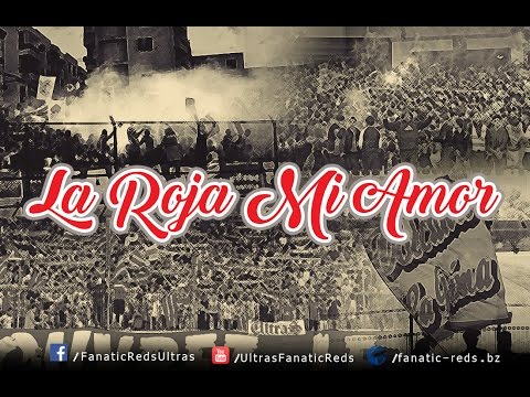 Fanatic Reds 7th For The Seventh La Roja Mi Amor