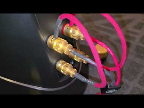 Dali Accuphase And Revox Doing Private Demos At Montreal Audio Fest 2026