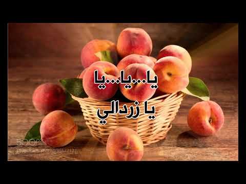 طالب القرغولي يا خوخ يا زردالي