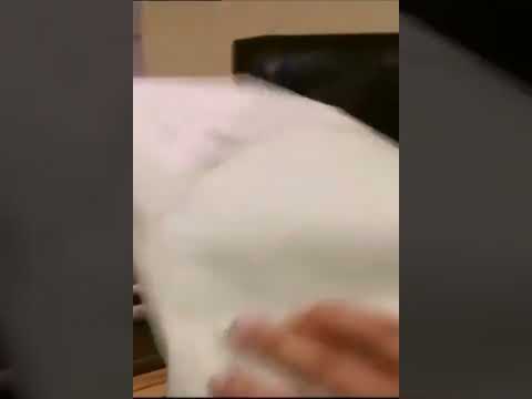 الدكتور طارق يكشف خيانة زوجته ديالا طارق مسلسل تركي مدبلج الارض الطيبه مسلسلات تركية Shorts