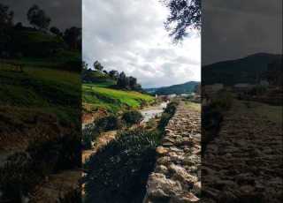  جمال الربيع على ضفاف النهر لحظات شبابية مليئة بالحياة والطبيعة