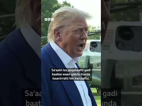 Tiraamp Aaridhaan Iraanii Fi Israa El Akeekkachiisan BBC News Afaan Oromoo