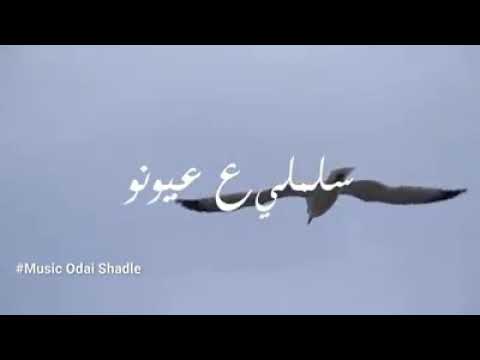 يا طير السنونو