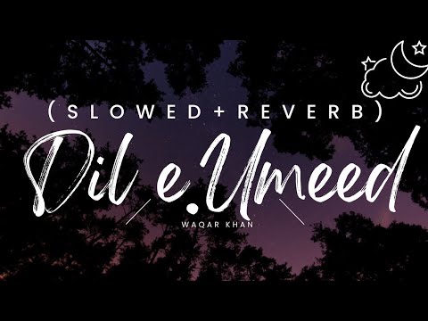 Dil E Umeed Slowed Reverb Waqar Khan Sahir Ali Bagga