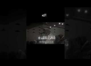  اللهم أجعلنا ممن تمنو ونالو