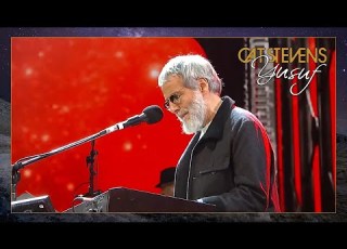 Yusuf Cat Stevens Sad Lisa Viña Del Mar Festival Chile 2015