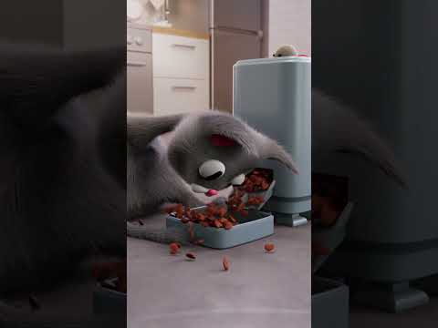 Thank You For 1 MILLION GIMME SNACK Cat Animation