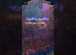  সফলক ম ম সল মদ র জন য