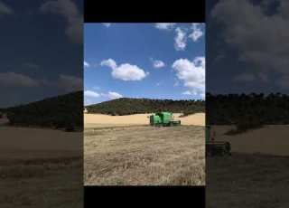 مل كان الحرت بالنية او زواج بالنية الحاجة مقضية