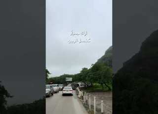  أراك جميلا كفصل الربيع