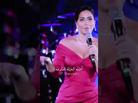 اصله الحيلة الدلوعة عايز كلمتة مسموعة