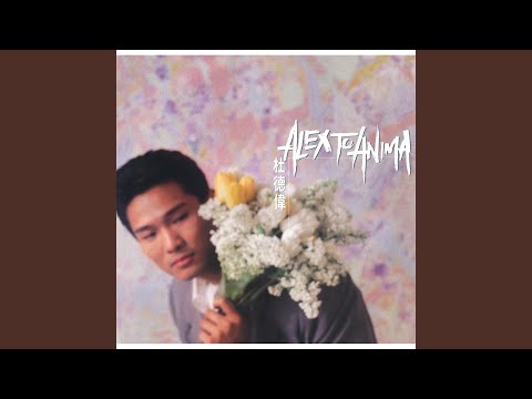 The Visual Light Theme Song Of TV Drama Why So Funny