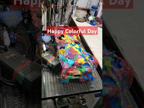 Custom Requested Colors Audio Listentomusic Hifi Highendaudio Amplifier