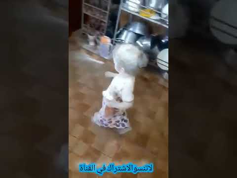 مع الكف نزل كل الطحين اذا بنتك عملت مثلها ايش تعملي Shortsقصص