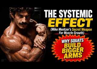  THE SYSTEMIC EFFECT MIKE MENTZER S SECRET WEAPON FOR MUSCLE GROWTH