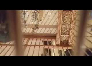  جغل خونا محسن الزمالي ربي يبارك فيه