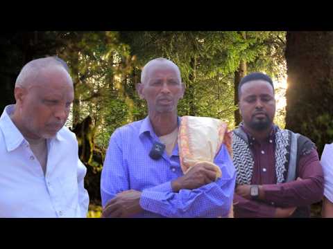 Wenn Man Sich An Die Ländliche Idylle Erinnert Braucht Man Keine Stimme