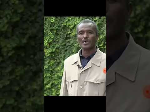 Darroo Roobee Ayyalaa Nugusee