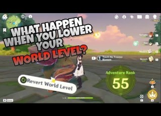 What Happens If You Lower The World Level And Suddenly Adventure Rank Increase