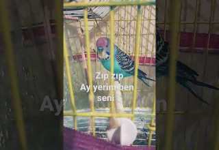 Her Yer Karanlık Remix