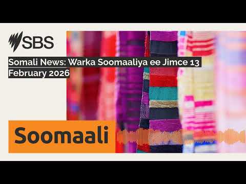 Somali News Warka Soomaaliya Ee Jimce 13 February 2026 SBS Somali SBS Afsomali