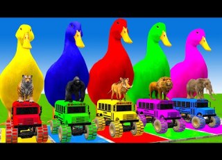 5 Giant Duck Cartoon Cow Elephant Tiger Lion Dinosaur Paint Wild Animals Crossing Fountain Animation