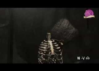 Pirates 2005 Scap Part Movie