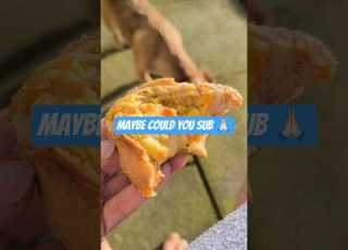 Please Subscribe Shorts Short Ytshorts Fyp Foryou Love Dog Viral Trending Cute Cat Yt