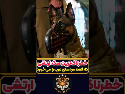 خطرناک ترین سگ جهان که هرگز نباید بهش نزدیک شد معرفی بهترین فیلم ها و سریال های جهان که باید دید