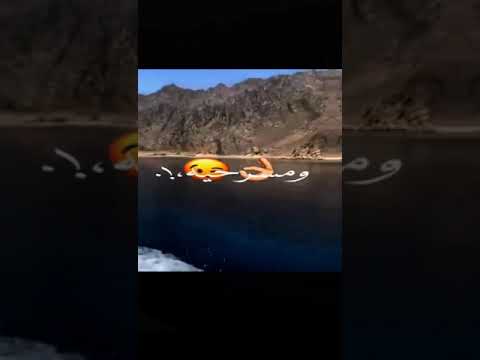 الدنيا سرك ومسرحيه