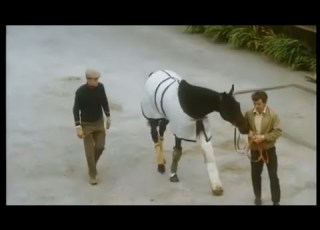 Something To Brighten The Morning Mill Reef Documentary Racing Legend