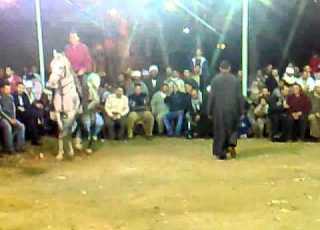   خيول عربيه افندينا حفلة مولد النبى Avi