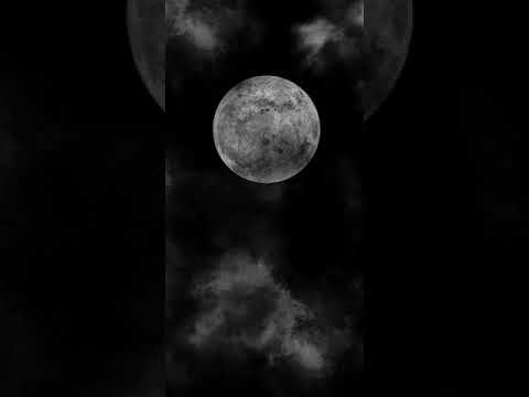 نصر الدين طوبار حالات واتس