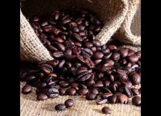  Kaffa Coffee Ethiopia Gedeb