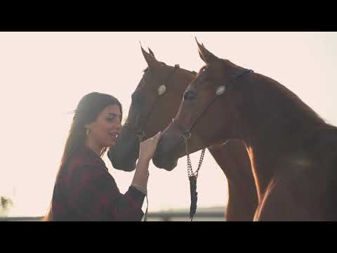 Rola Azar Bala Daji Official Music Video رلى عازر بلا ضجة