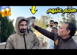 نزلت القرد الشارع في وسط الناس ورد فعل غريب مكنتش متوقع