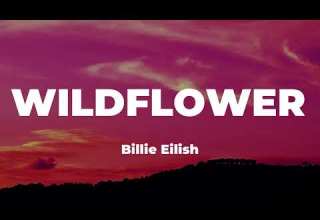 Billie Eilish WILDFLOWER Lyrics