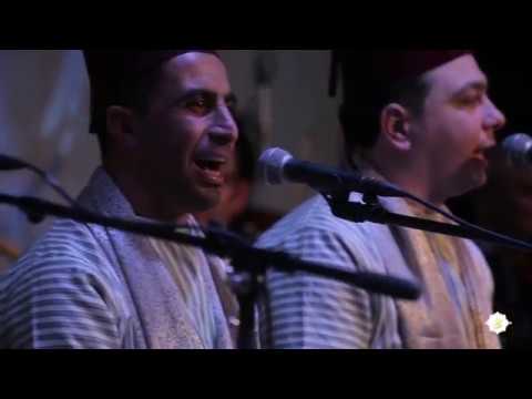 سلاطين الطرب الورد الليلي اللون يالله سوا قوموا لنرقص عربية